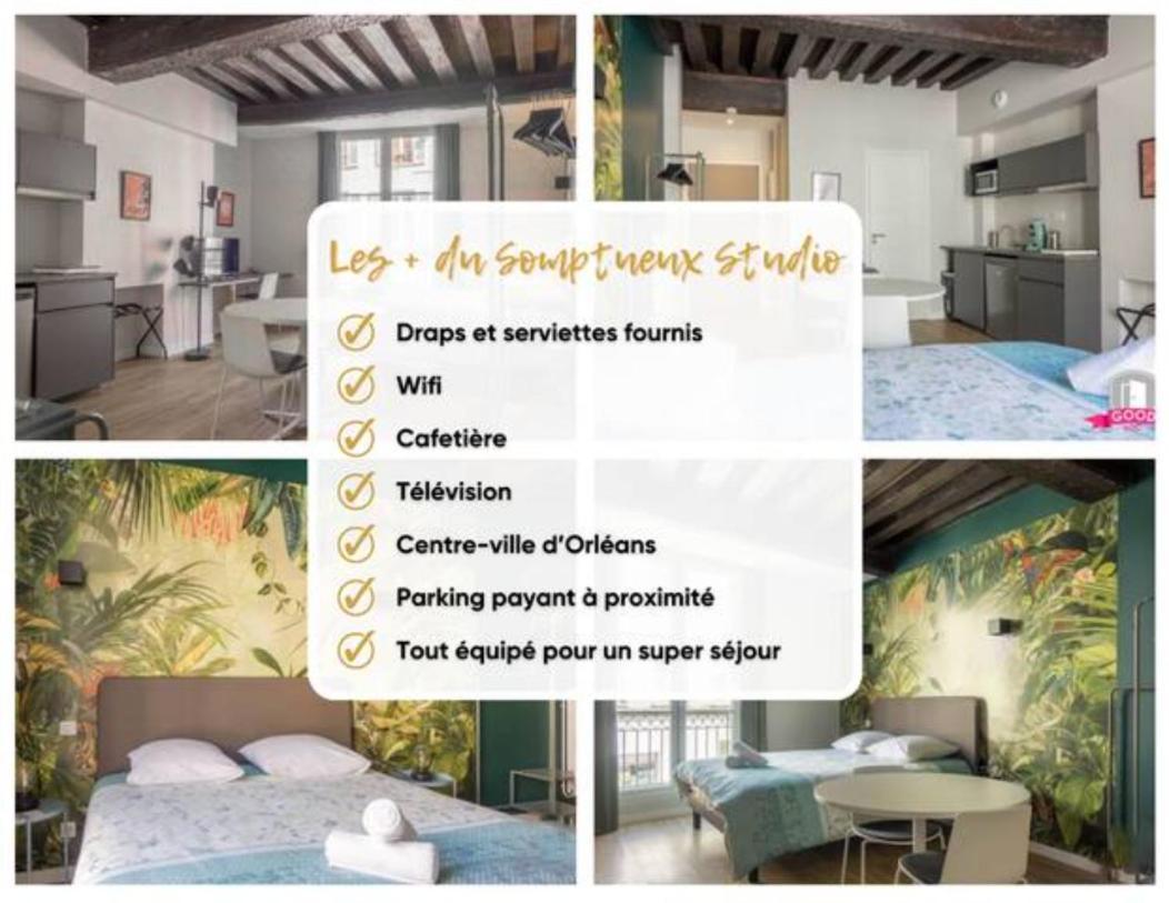 Somptueux Studio Hyper Centre Avec Wifi Apartment Орлеан Екстериор снимка